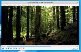VLC Media Player Crack