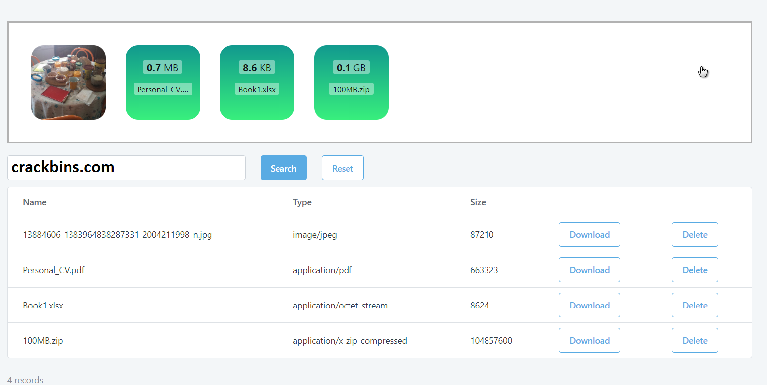 Dropzone 4.1.6 Crack