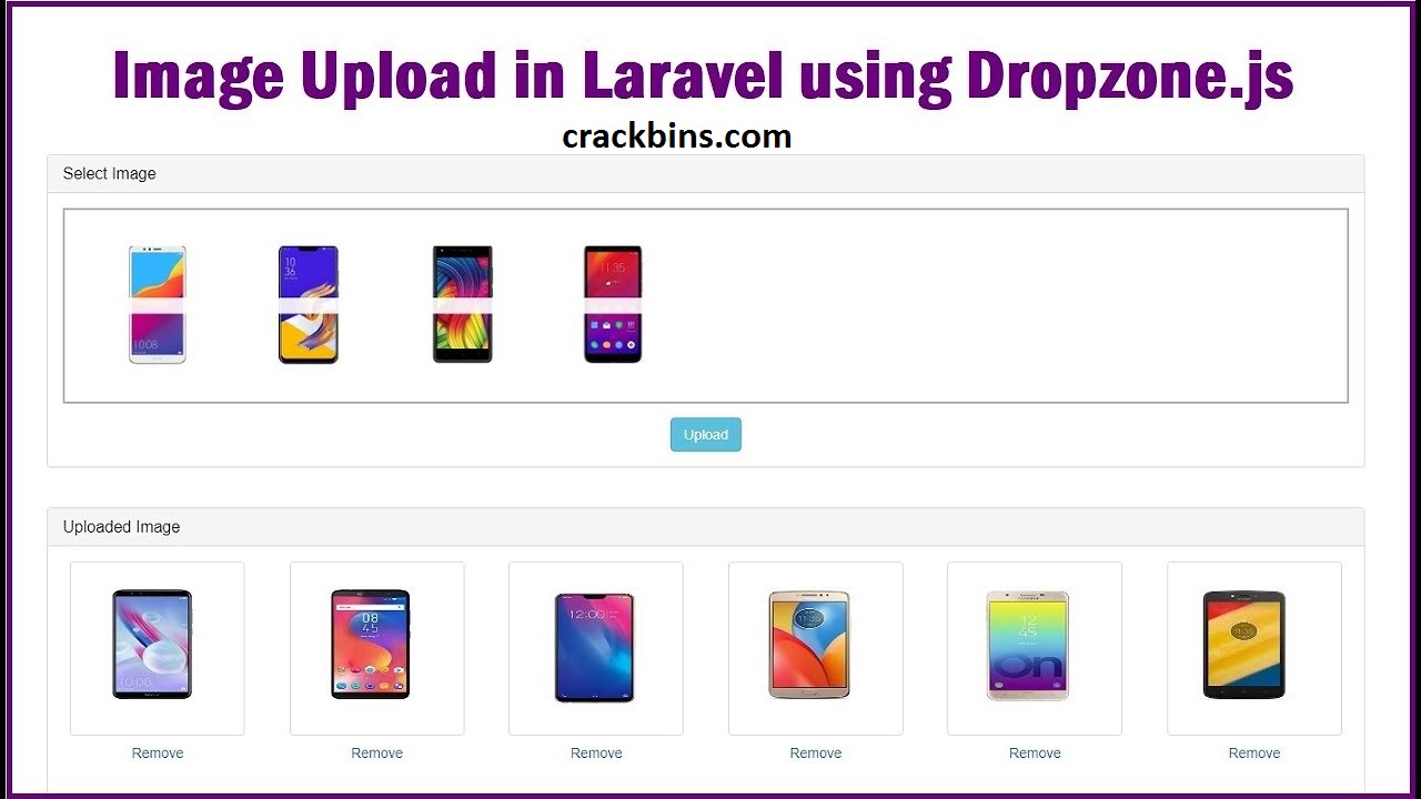 Dropzone 4.1.6 Crack