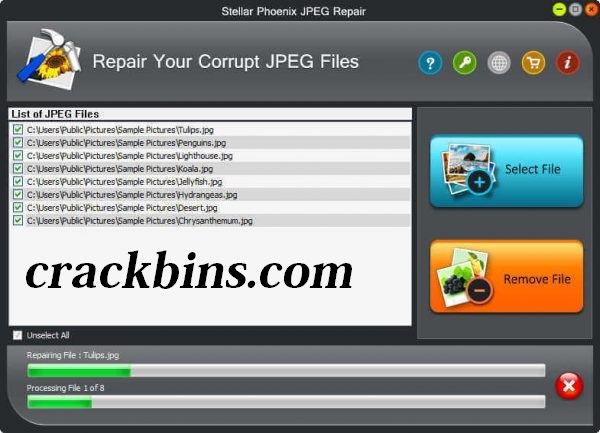 Stellar Phoenix JPEG Repair Crack
