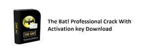 The Bat Professional v10.0.0.5 Key