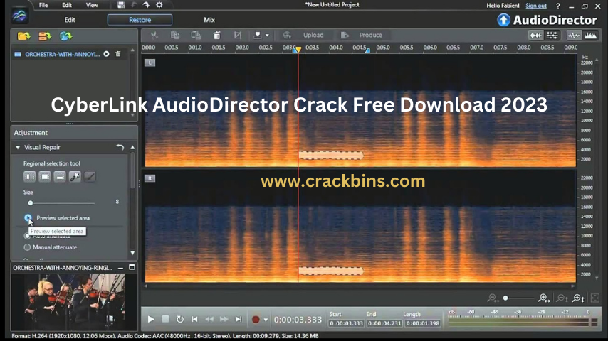 CyberLink AudioDirector Ultra 13 Crack