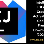 IntelliJ IDEA Crack