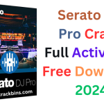 Serato DJ Pro Crack