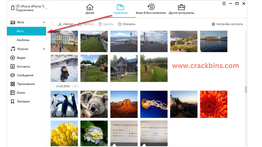 Tenorshare iCareFone Crack