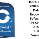 BitRecover Data Recovery Crack + License Key Free 2024