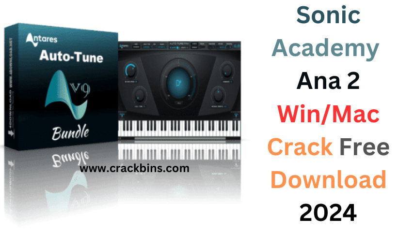 Sonic Academy Ana Crack